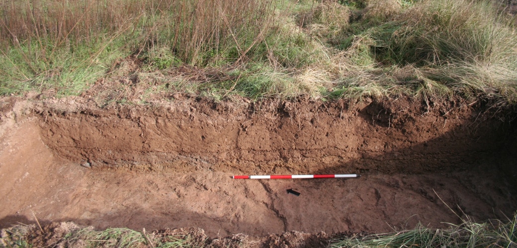 Sondeo 23. Aspecto del sondeo en finalizar la excavación