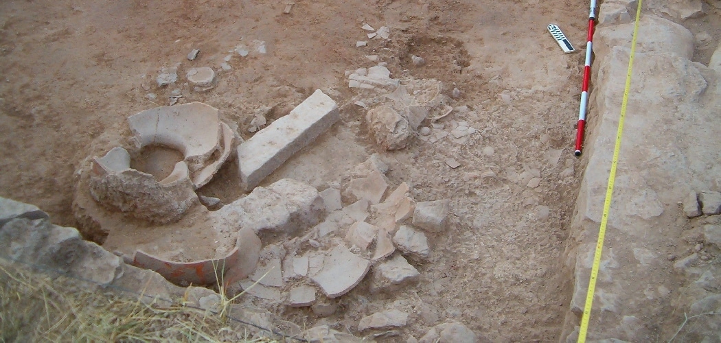 Scattered fallen material above the living level