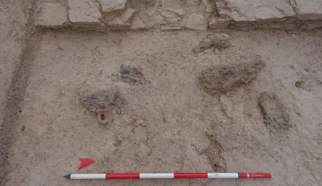 Several fragments of burned wood. One of them had fallen onto the mouth of an amphora from Africa that has been completely crushed.