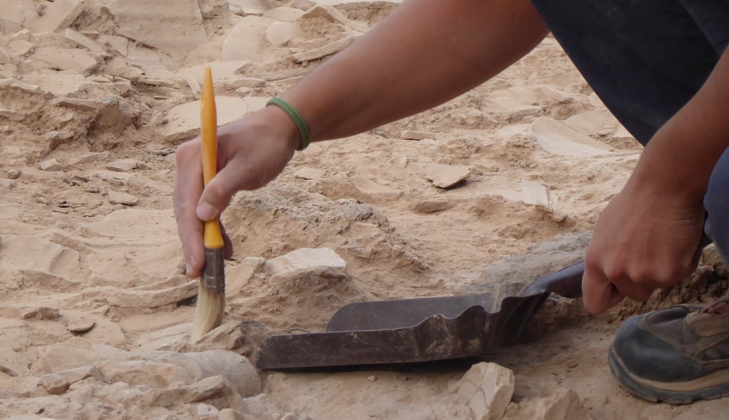 Cleaning the scattered pottery