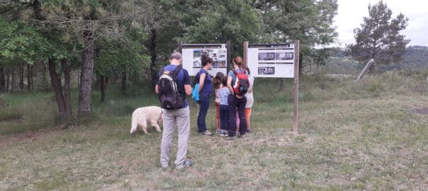 visites a demanda